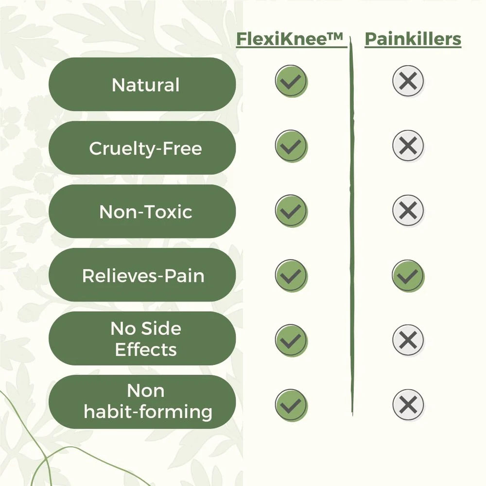Herbal Knee Patches - Instant Pain Relief Wormwood Formula (PACK OF 10)
