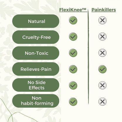 Herbal Knee Patches - Instant Pain Relief Wormwood Formula (PACK OF 10)